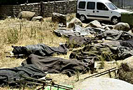 The bodies of the Israelis