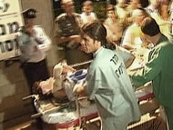 Sinai Casualties
