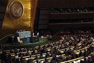 The United Nations