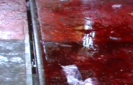 Blood on the railroad