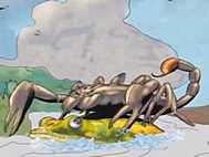 The Parable of the Frog and the Scorpion - an apt allegory to Israeli-Hamas ceasefires (photo credit: allseeingguyproductions)
