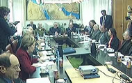 Foreign Affairs and Defense committee
