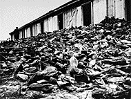 A mound of victims' shoes found in Majdanek after the liberation