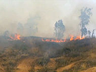 Fire in an open field outside one of the southern Israeli communites near Gaza after Palestinians flew a kite laden with a Molotov cocktail over the border on May 2, 2018. (Screen capture/Rafi Bavian)