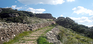 The road to Emmaus (photo courtesy of Genesis Tours)