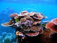 Photo credit: Toby Hudson - CC BY-SA 3.0