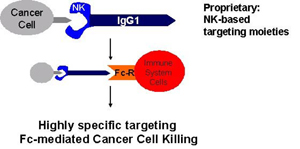 Schematic model of the way the new molecules attach itself to the cancer cell