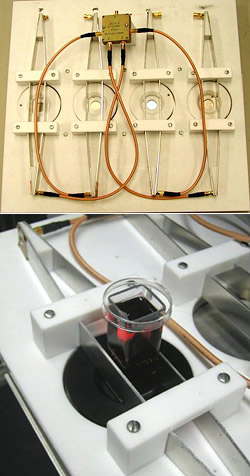 The electromagnetic system exposing four eye lenses to electromagnetic radiation Each vessel containing a lens, inserted between the two plates of the transmission line. The entire system is placed in an incubator maintaining constant temperature for the duration of exposure.