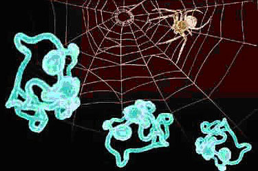 On the bottom the artificial silk made by Dr Uri Gat and his team, on the top spider web illustration